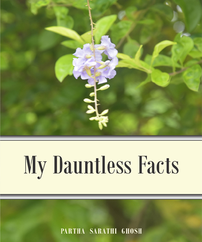 My Dauntless Fact